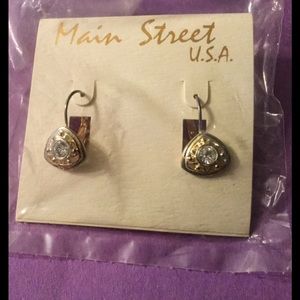 Vintage USA  made earrings by the Darlene group